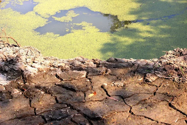 灌溉池塘干旱 全球变暖 地面隔绝和低水位 — 图库照片