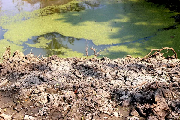 干ばつ 温暖化 灌漑池グランド分離と低水レベル — ストック写真