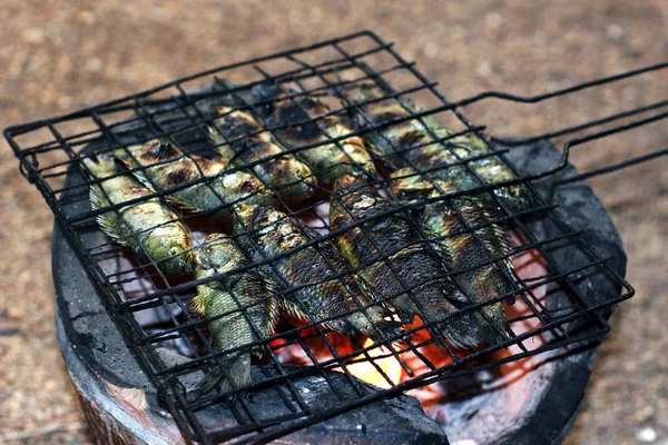 Poisson Grillé Style Thaï Cuisine Perche Grimpante Grillée Poisson Sur — Photo