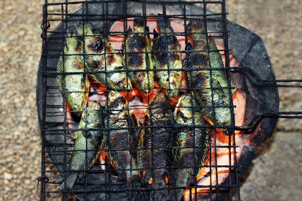 grilled fish, thai food style Cooking Grilled Climbing perch Fish on Grate on charcoal stove, asia fish food, (Anabas testudineus)