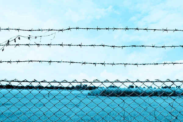 Barbed wire imprison, detention center, incarcerate, at countryside and background blue color style