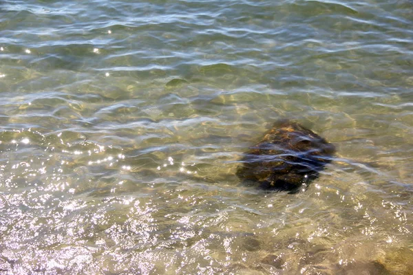 Água Mar Cristalina Soberba Limpa Veja Rochas Fundo Mar Natureza — Fotografia de Stock