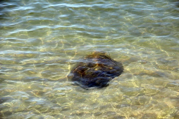 Agua Mar Cristalina Excelente Limpia Ver Rocas Fondo Del Mar — Foto de Stock