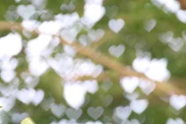 Arka plan yeşil ağaç yumuşak bulanık bokeh doğa taze aydınlatma kalp şeklinde valentine ve orman otlar için duvar kağıdı, yumuşak bokeh doğa arka plan tasarım