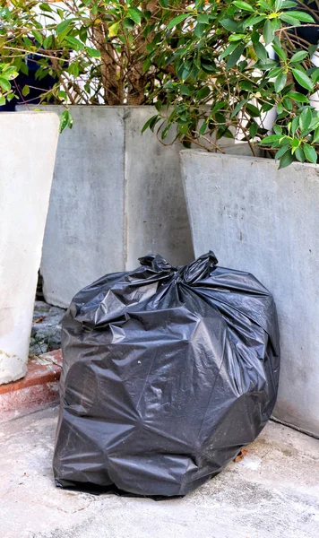 Odpadów Śmieci Bin Torby Plastikowe Recyklingu Odpadów Umieszczone Obok Drzewo — Zdjęcie stockowe