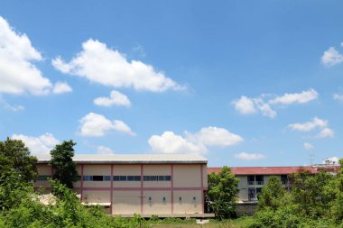 Ticari eski binaların Emlak orman ağacı önünde