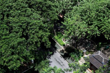 Kamu Bahçe, üstten görünüm kamu park bahçe arka planı için