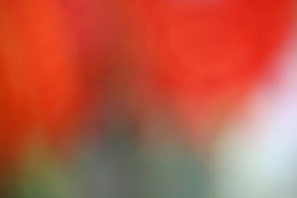 Renkli Arka Plan Yumuşak Multi Renk Stil Soyut Pembe Kırmızı — Stok fotoğraf