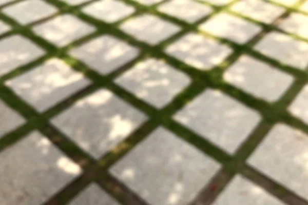 Blurred Picture Concrete Block Floor Garden Ground Blurred Brick Manicured — Zdjęcie stockowe