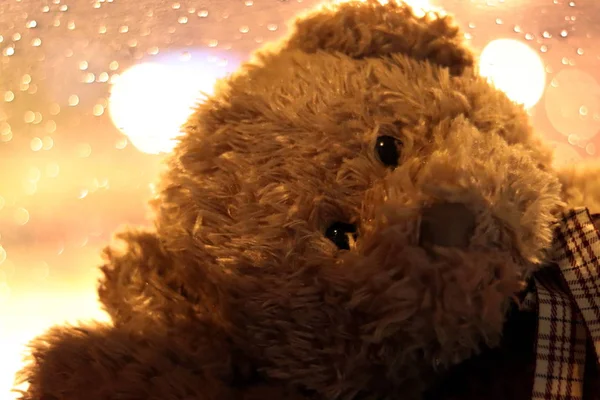 Bear Doll Face Close Face Teddy Bear Image Loneliness Selective — Stockfoto