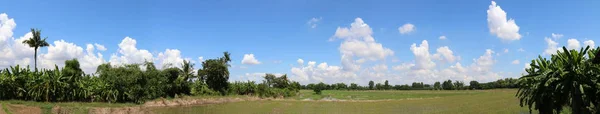天空和地面稻田风景 全景天空土地农业有机 天空和区域农场全景 — 图库照片