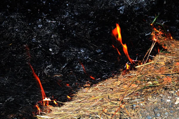 Fuego Fuego Quemando Heno Enfoque Selectivo — Foto de Stock