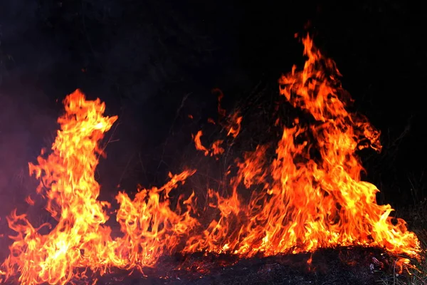 Огонь Лесной Пожар Ночью Огонь Жжение Сена Селективный Фокус — стоковое фото