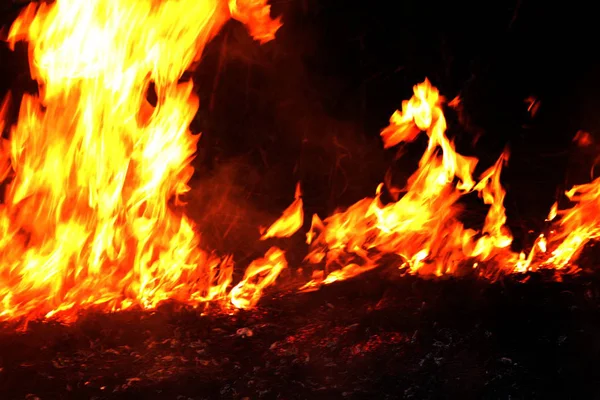 Brand Skogsbrand Natten Eld Brinnande Selektivt Fokus — Stockfoto