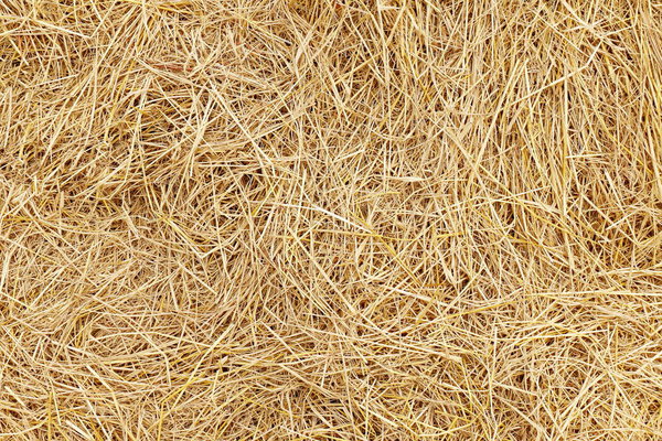 straw, dry straw, hay straw yellow background, hay straw texture