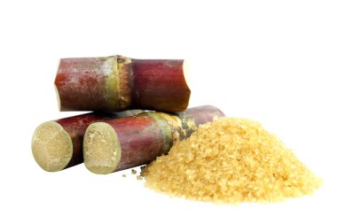 Şeker kamışı ve toz şeker yığın kesme, şeker kamışı taze ve toz şeker beyaz arka plan üzerinde şeker, baston parça ve şeker kamışı