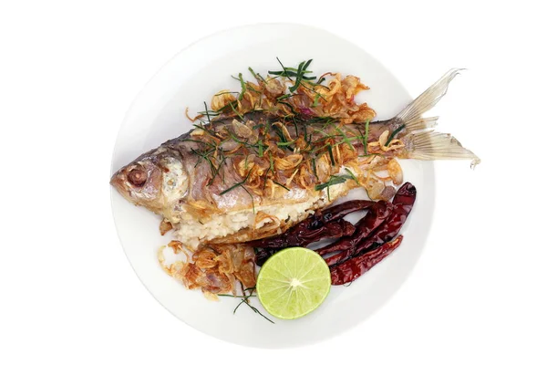 Peixe Conserva Saboroso Frito Som Tod Pla Palavra Tailandês Peixe — Fotografia de Stock