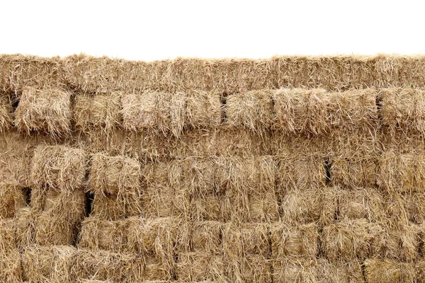 Straw Straw Block Cube Wall Row Pile Straw Dry Hay — Stock Photo, Image