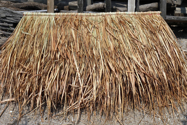 pile of vetiver for hut roof. panel of vetiver for hut roof, straw roof hut panel