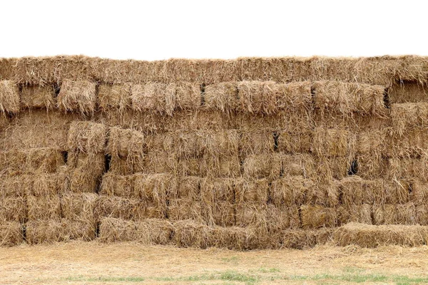 Stro Achtergrond Met Stro Blok Kubus Muur Rij Stapel Stro — Stockfoto