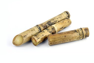 Beyaz arka plan şeker kamışı şeker kamışı şeker kamışı, şeker kamışı yığın, yanık, baston, parçası izole