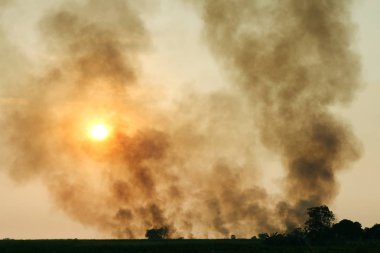Duman kirliliği atmosfer, bulanık gökyüzü bulut hava kirliliği için arka plan, atmosfer kirliliği, günbatımı