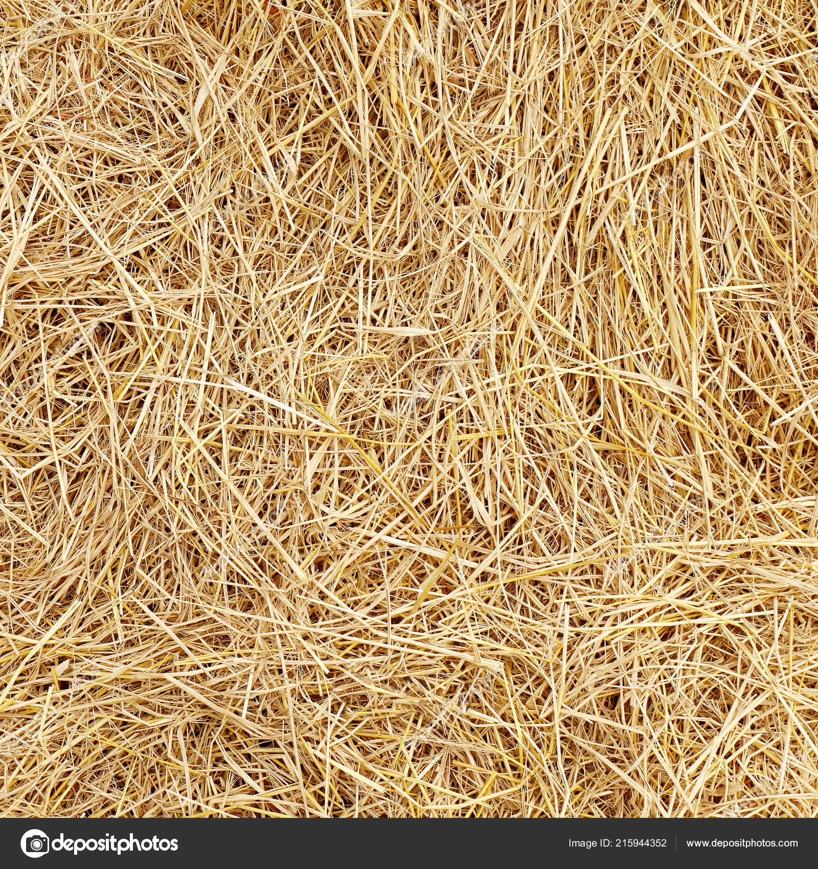 Straw Dry Straw Hay Straw Yellow Background Texture Stock Photo by ©cgdeaw  215944352