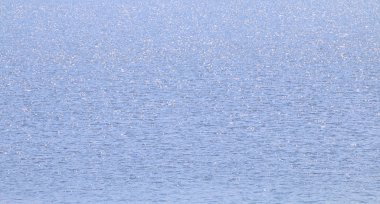 Yüzey su okyanus, arka plan, mavi su Nehri yüzey yüzey deniz (seçici odak için su doku)