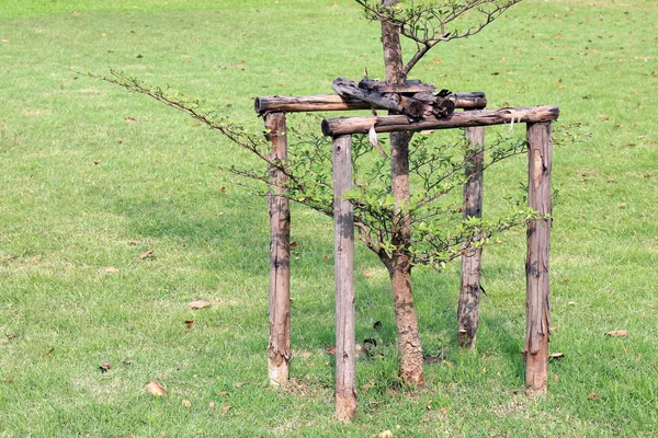 Plantación Árboles Jardín Con Estructura Pila Madera Poste —  Fotos de Stock