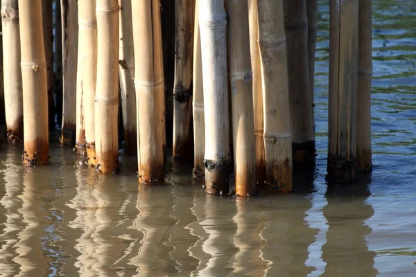 Palos Pared Bambú Superficie Del Agua Enfoque Selectivo —  Fotos de Stock