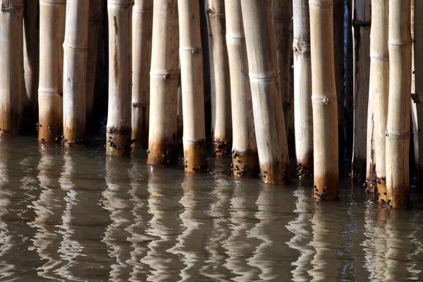 Bamboo Wall Sticks Water Surface Selective Focus — Stock Photo, Image