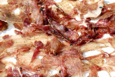 Kurutulmuş domuz sinek böcek tarafından Kurutulmuş yaprak domuz üzerinde uçar ile