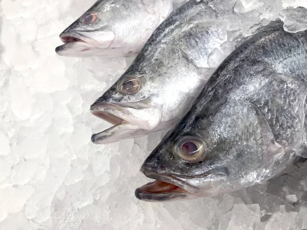 白い鯛魚 選択と集中のスーパー マーケットで冷凍生の新鮮な白い鯛 — ストック写真