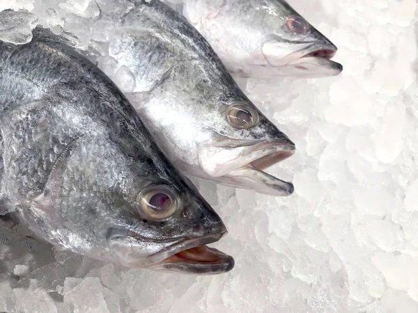 白い鯛魚 選択と集中のスーパー マーケットで冷凍生の新鮮な白い鯛 — ストック写真