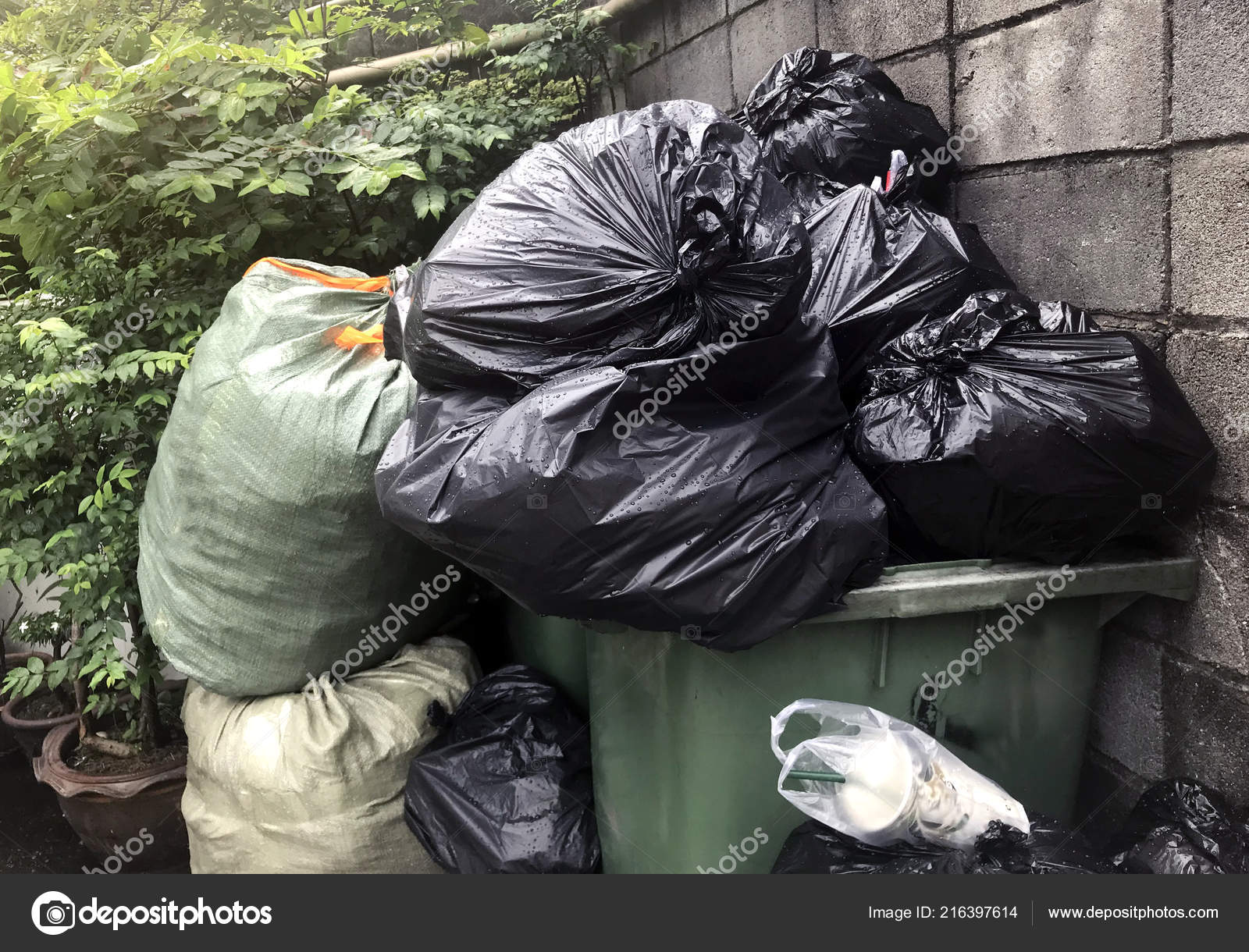 Discover more than 148 bin bag collection esthdonghoadian