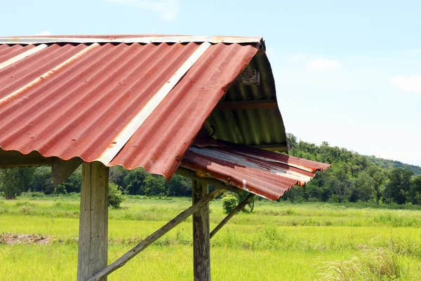 the hut with zinc roof old at paddy field (close up)