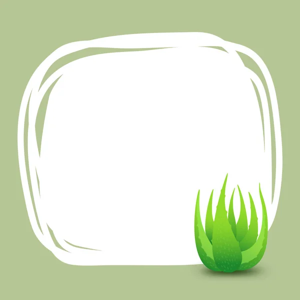 Banner Square Frame Aloe Vera Plant Background Green Advertising Banner — Vetor de Stock