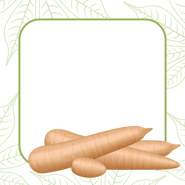 木薯的横幅框架新鲜复制空间 木薯切片木薯粉行业或乙醇 桩玉卡木薯块在框架 生木薯在模板横幅绿色背景空 — 图库矢量图片