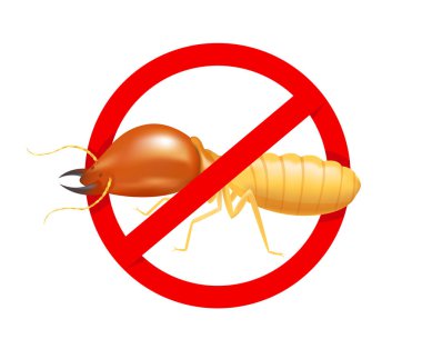 yasak kırmızı daire işareti beyaz arka plan, logo böcekler termit, düz simgeler bilgi grafik için termit yasağı sembolü izole termit, kimyasal sprey ürünleri için illüstrasyon termitler simgesi