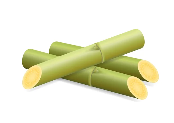 Иллюстрация Sugar Cane Cane Pieces Fresh Sugarcane Green Sugar Cane — стоковый вектор