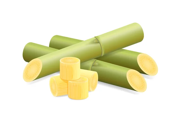 Illustration Sugar Cane Cane Pieces Fresh Sugarcane Green Sugar Cane — Stock Vector