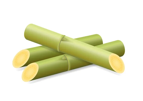插图甘蔗 新鲜甘蔗绿色片断 甘蔗切隔离在白色背景 — 图库矢量图片