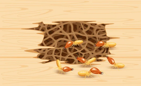 Termite Nid Mur Bois Termite Terrier Nid Pourriture Bois Texture — Image vectorielle
