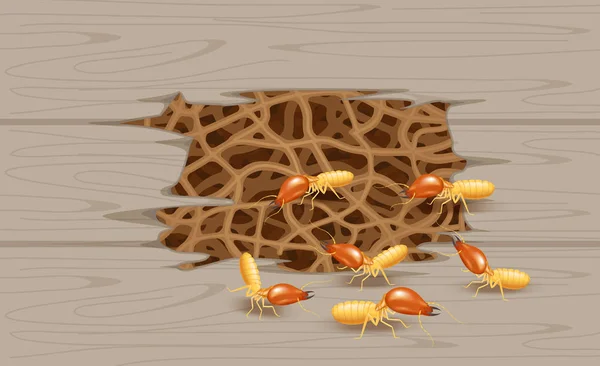 Termite Nid Mur Bois Termite Terrier Nid Pourriture Bois Texture — Image vectorielle