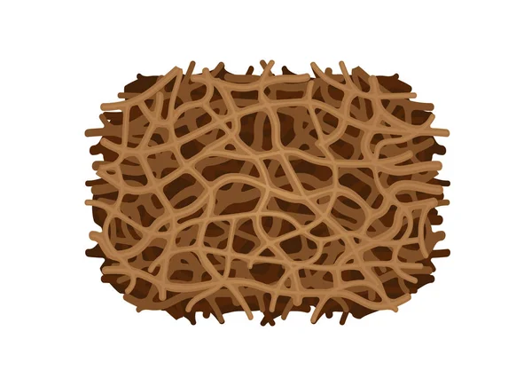 Nest Termitenstruktur Nahaufnahme Isoliert Auf Weißem Hintergrund Clip Art Termitennest — Stockvektor