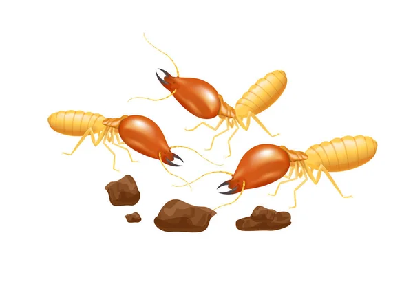 illustration termites isolated on white background, insect species termite ant eaten wood decay and damaged wooden bite, cartoon termite clip art, animal type termite or white ants