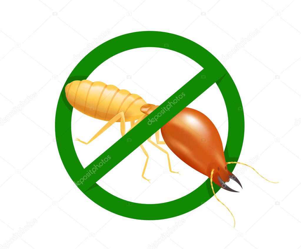 termite in prohibited green circle sign isolated on white background, logo insects termite, termite prohibition symbol for flat icons info graphic, illustration termites icon chemical spray products
