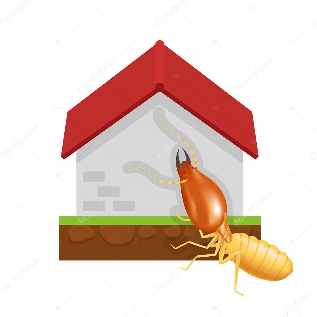 Featured image of post Clip Art Termite Cartoon / Termite character holding a golden worlds greatest dad trophy #45551 by dennis holmes designs.