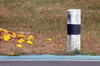 doğa çim arka plan ile yol kenarında beton kilometre işareti direği, yolda beton sütun kilometre ve katta sarı çiçekler, yolda kilometre taşı ve tayland otlak yakınında