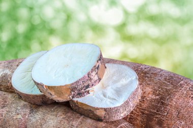 Bokeh doğal arka planında dilimlenmiş cassava tüpleri üst manzarada manyok, un ürünleri için yukka kökü, tapyoka nişastası endüstrisi için hammadde, manyok kökü ya da manyok kökü.